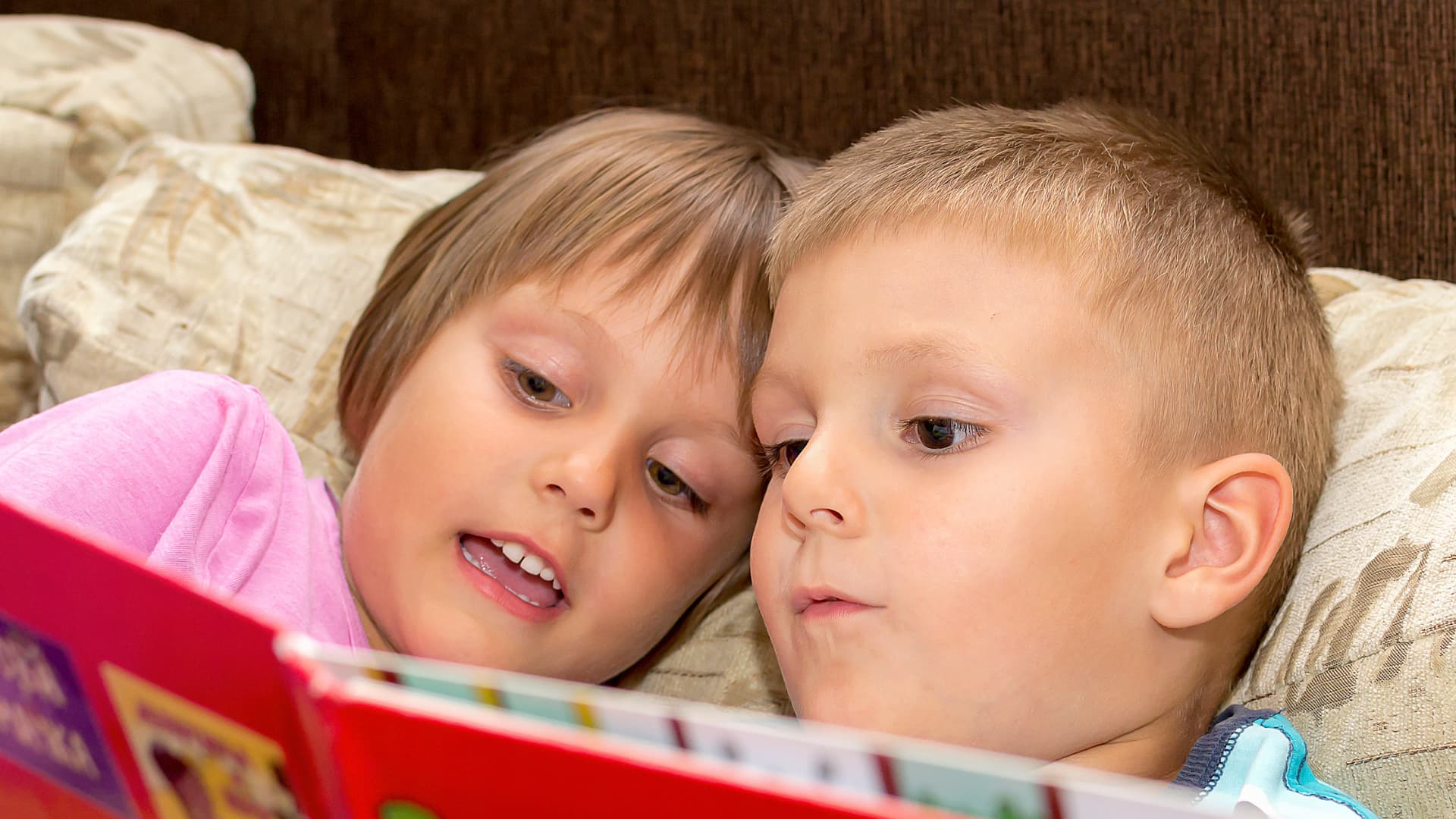 libro-header