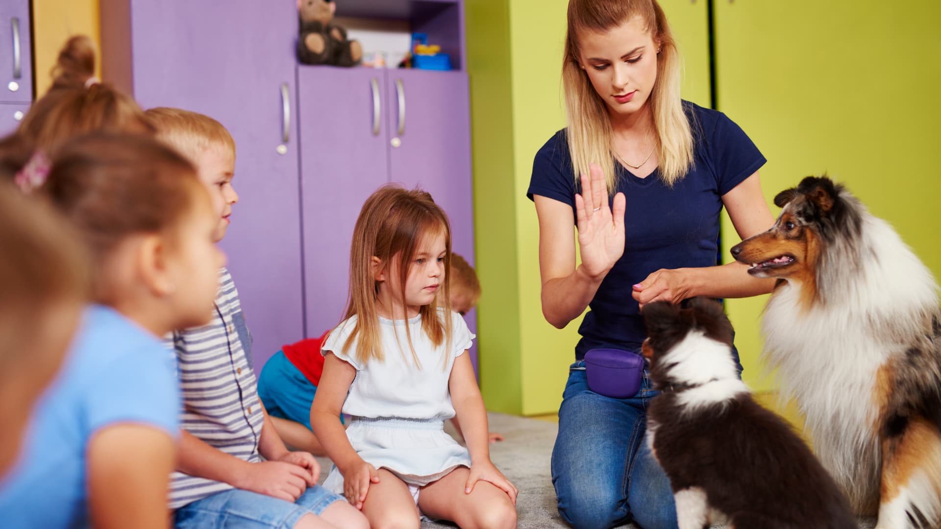 pet-terapy-header
